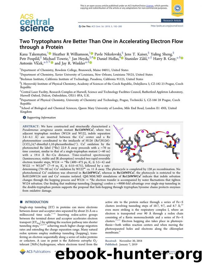 Two Tryptophans Are Better Than One in Accelerating Electron Flow through a Protein by unknow