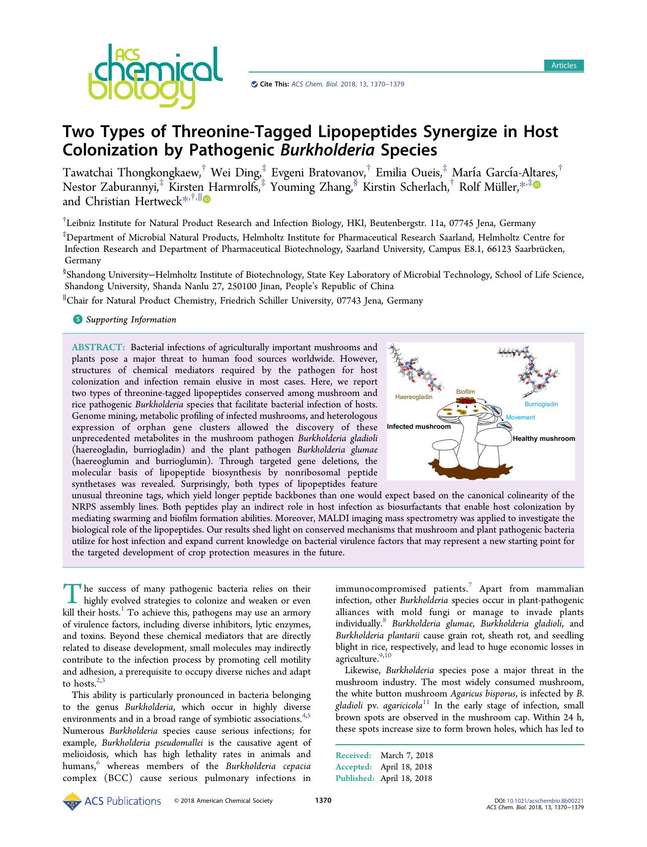 Two Types of Threonine-Tagged Lipopeptides Synergize in Host Colonization by Pathogenic Burkholderia Species by unknow