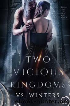 Two Vicious Kingdoms (Battle for The Dark King Book 2) by VS Winters