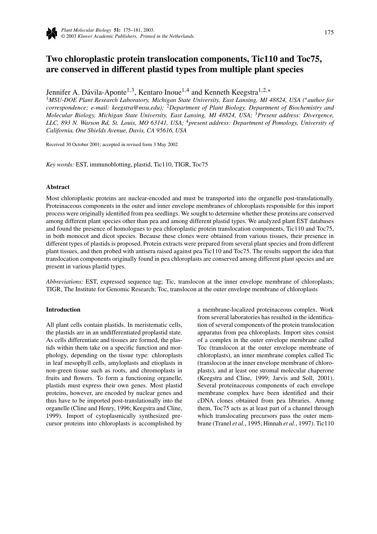 Two chloroplastic protein translocation components, Tic110 and Toc75, are conserved in different plastid types from multiple plant species by Unknown