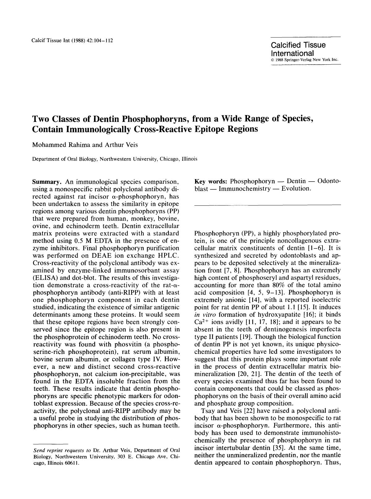 Two classes of dentin phosphophoryns, from a wide range of species, contain immunologically cross-reactive epitope regions by Unknown