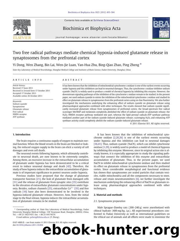 Two free radical pathways mediate chemical hypoxia-induced glutamate release in synaptosomes from the prefrontal cortex by Yi Dong & Wen Zhang & Bin Lai & Wen-Jie Luan & Yan-Hua Zhu & Bing-Qiao Zhao & Ping Zheng