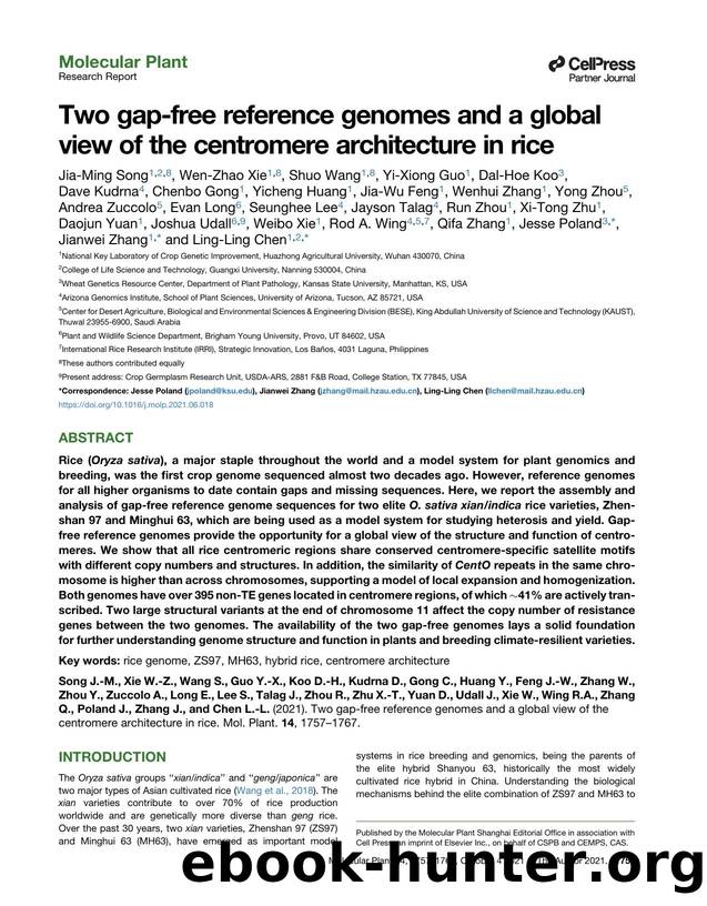 Two gap-free reference genomes and a global view of the centromere architecture in rice by unknow