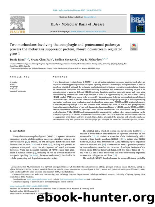 Two mechanisms involving the autophagic and proteasomal pathways process the metastasis suppressor protein, N-myc downstream regulated gene 1 by Sumit Sahni & Kyung Chan Park & Zaklina Kovacevic & Des R. Richardson