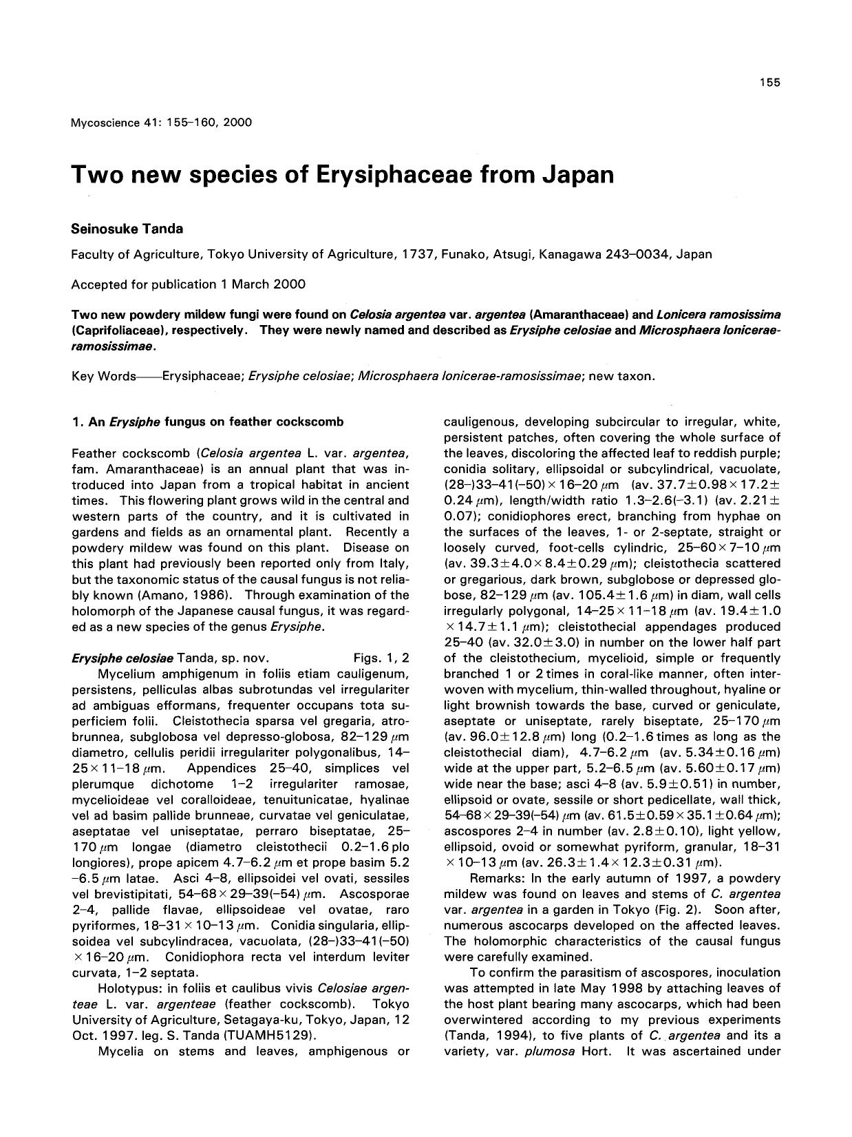 Two new species of erysiphaceae from Japan by Unknown