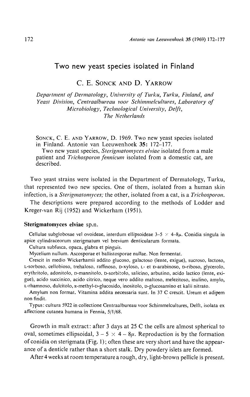 Two new yeast species isolated in Finland by Unknown