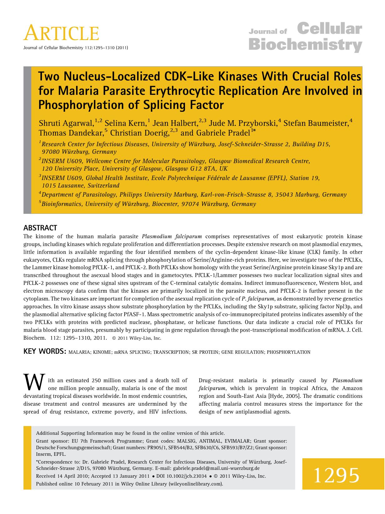 Two nucleuslocalized CDKlike kinases with crucial roles for malaria parasite erythrocytic replication are involved in phosphorylation of splicing factor by Unknown