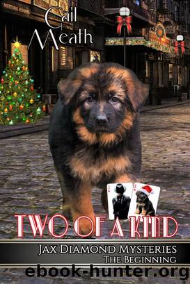Two of a Kind by Gail Meath