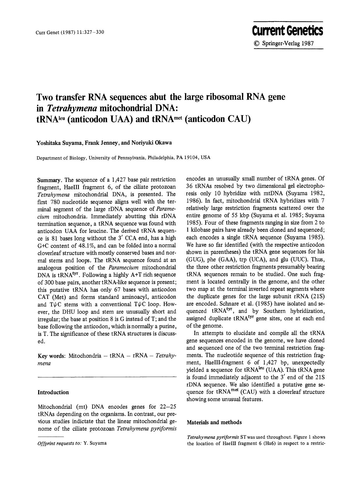 Two transfer RNA sequences abut the large ribosomal RNA gene in <Emphasis Type="Italic">Tetrahymena<Emphasis> mitochondrial DNA: tRNA<Superscript>leu<Superscript> (anticodon UAA) a by Unknown