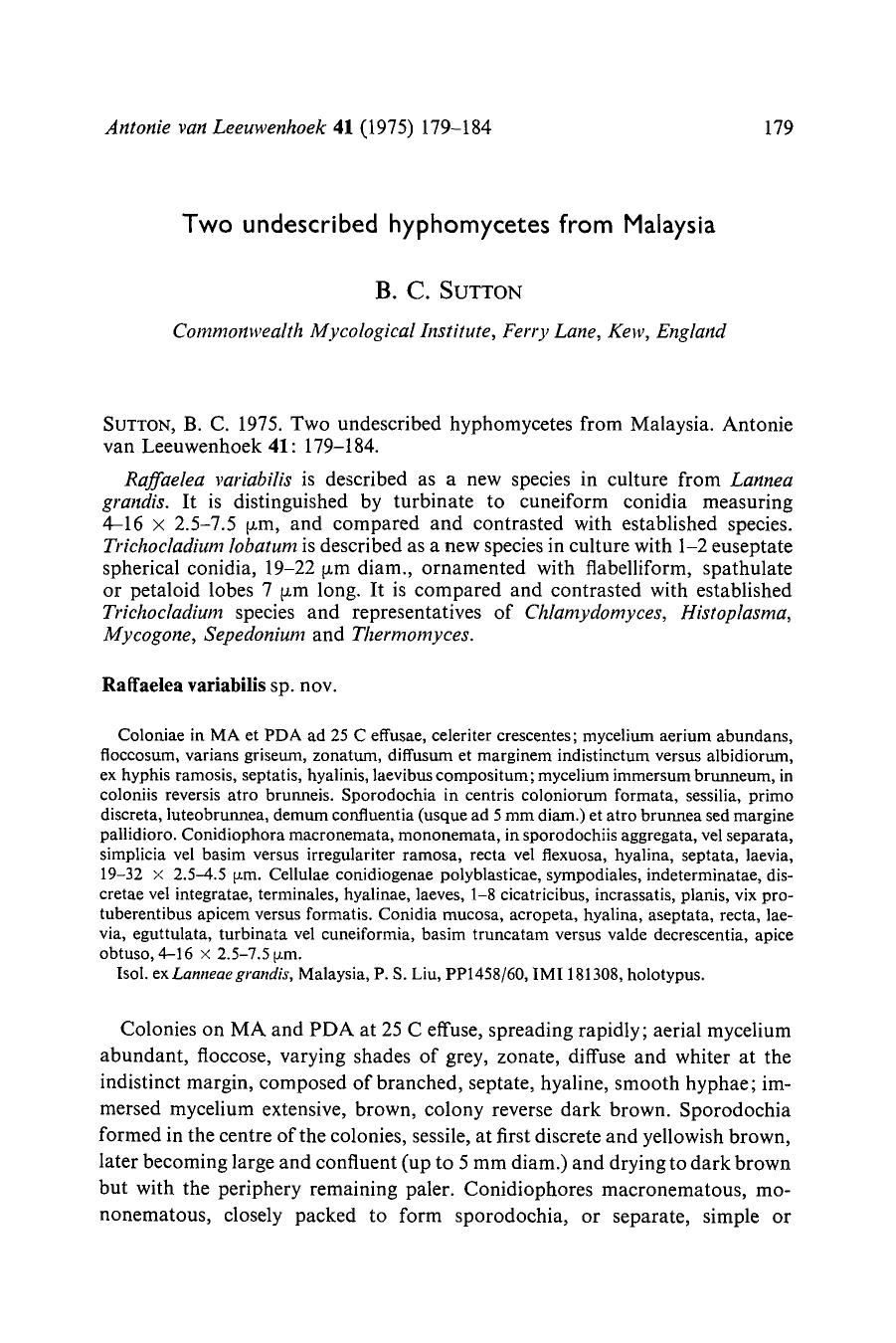 Two undescribed hyphomycetes from Malaysia by Unknown