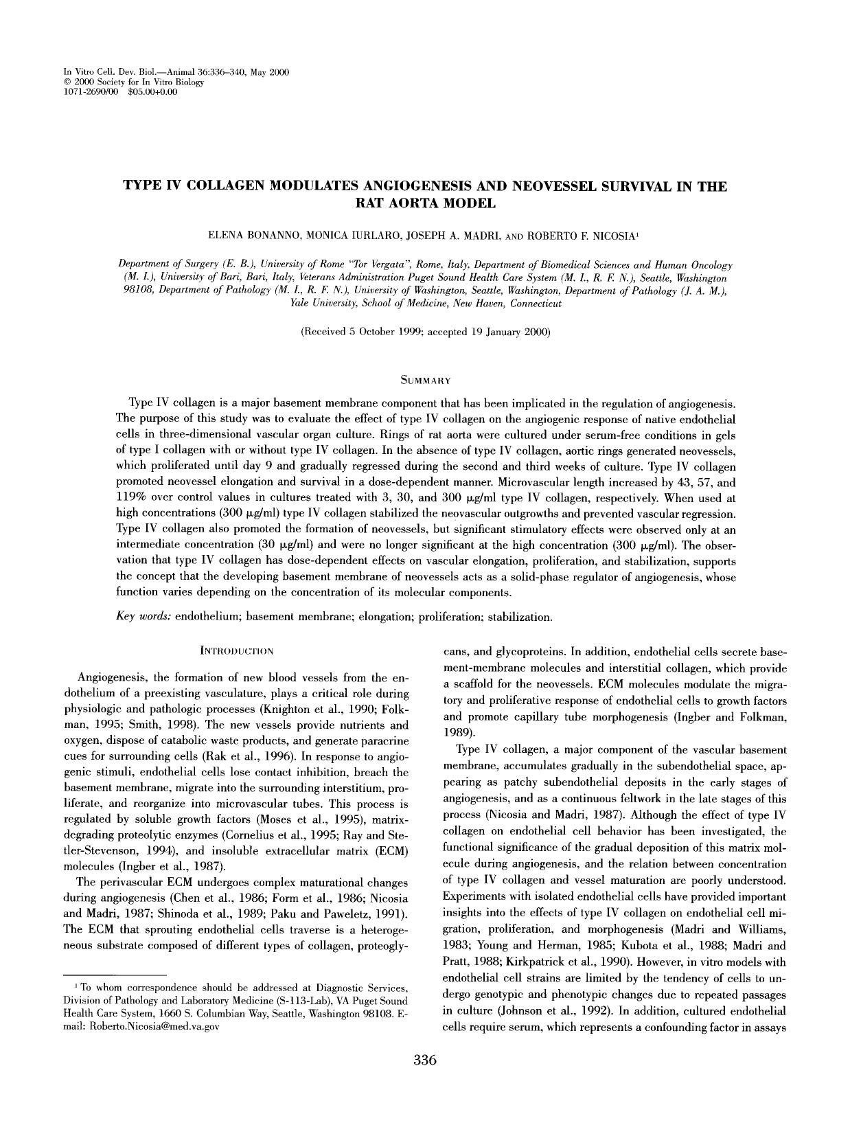Type IV collagen modulates angiogenesis and neovessel survival in the rat aorta model by Unknown