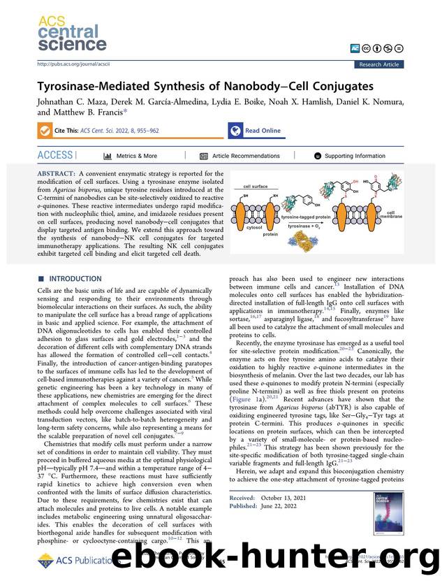 Tyrosinase-Mediated Synthesis of NanobodyâCell Conjugates by unknow