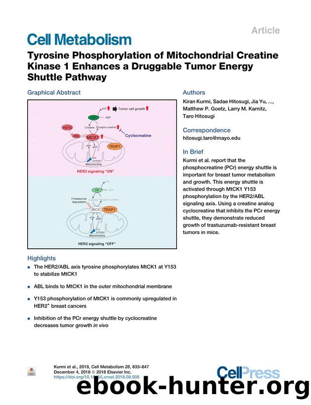 Tyrosine Phosphorylation of Mitochondrial Creatine Kinase 1 Enhances a Druggable Tumor Energy Shuttle Pathway by unknow