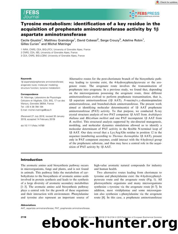 Tyrosine metabolism: identification of a key residue in the acquisition of prephenate aminotransferase activity by 1Î² aspartate aminotransferase by Unknown