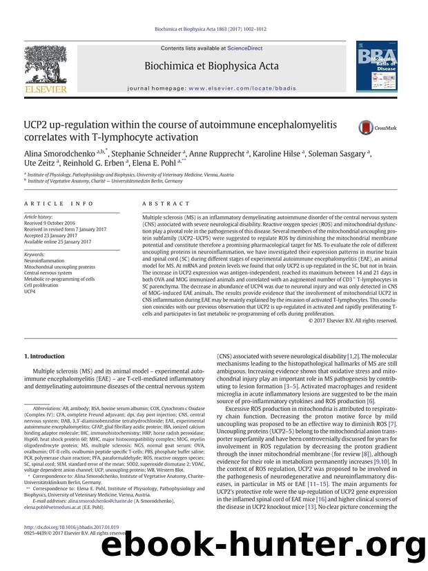 UCP2 up-regulation within the course of autoimmune encephalomyelitis correlates with T-lymphocyte activation by unknow