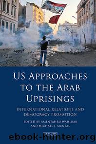 US Approaches to the Arab Uprisings: International Relations and Democracy Promotion by Amentahru Wahlrab & Michael J. McNeal