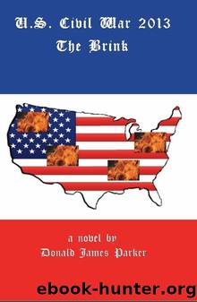 US Civil War 2013: The Brink by Donald James Parker