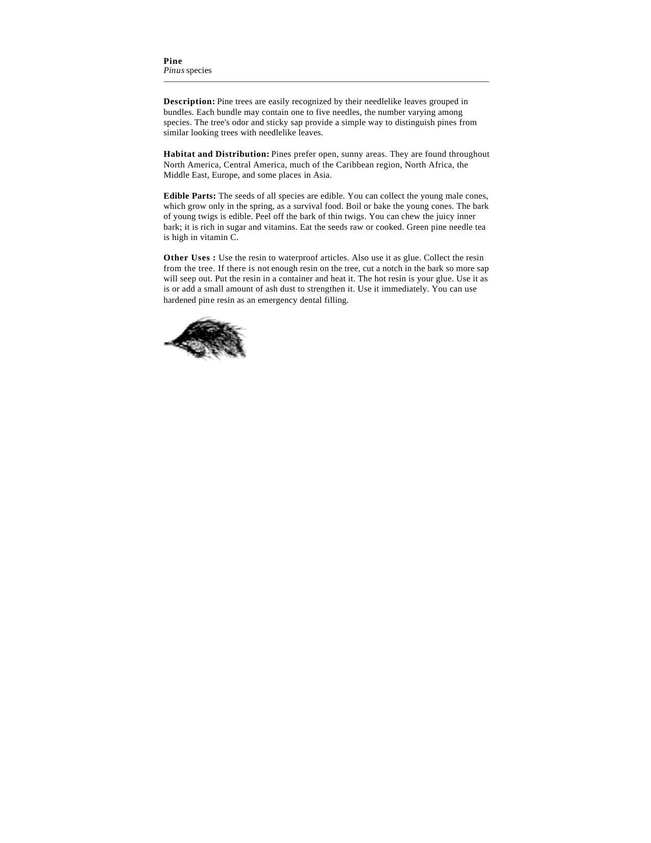 US Marine Corps - Survival by Part 2