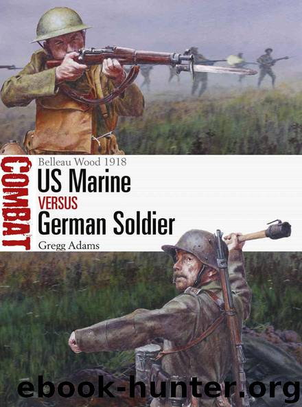 US Marine vs German Soldier: Belleau Wood 1918 (Combat) by Gregg Adams