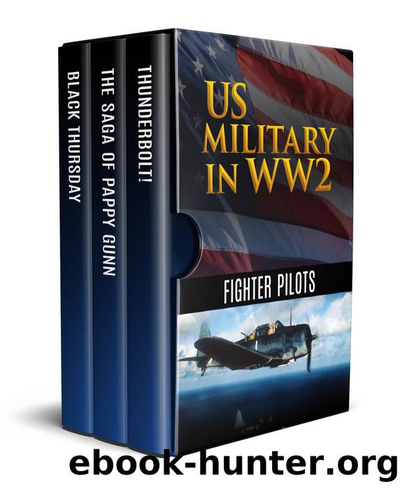 US Military in WW2: Fighter Pilots by Martin Caidin & Robert S. Johnson & George Churchill Kenney