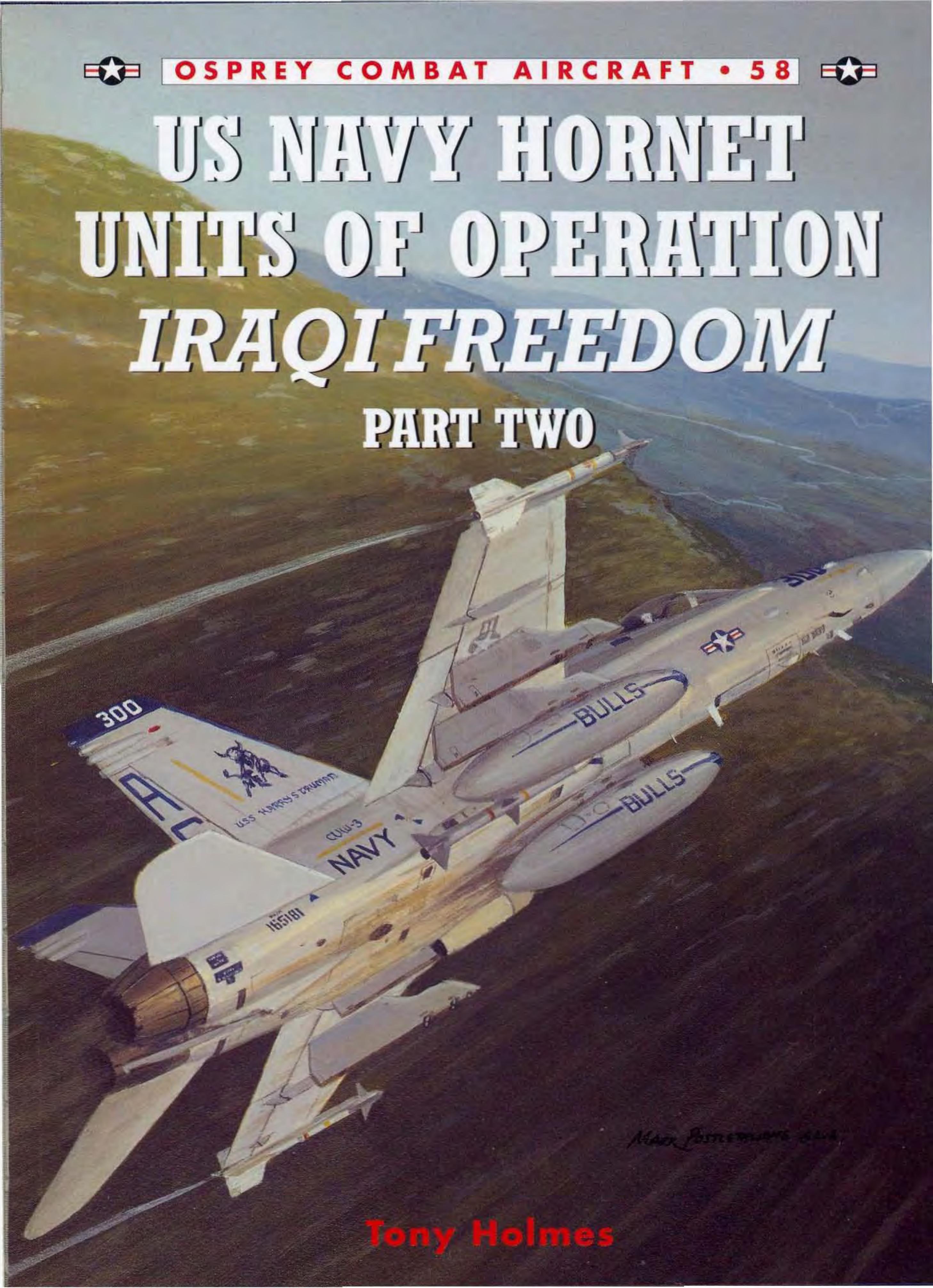 US Navy Hornet Units of Operation Iraqi Freedom Part Two by Tony Holmes Chris Davey