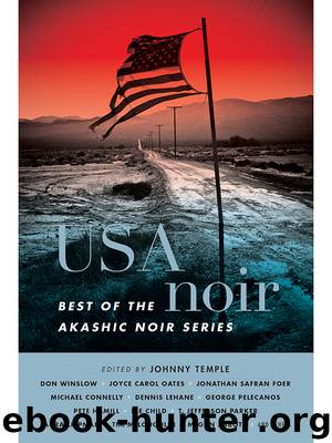 USA Noir Noir: Best of the Akashic Noir Series by Johnny Temple