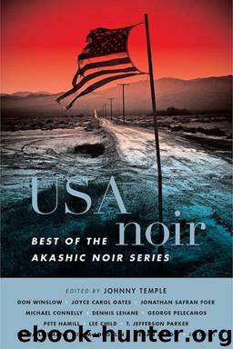 USA Noir: Best of the Akashic Noir Series by Johnny Temple