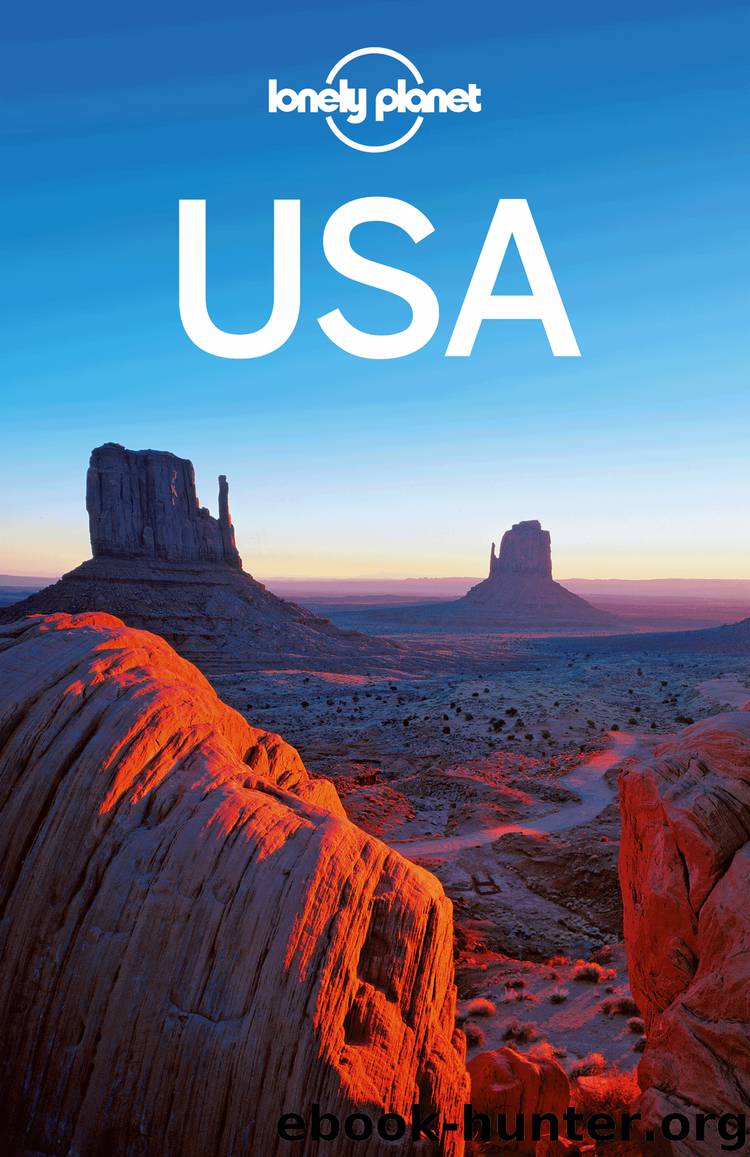 USA Travel Guide by Lonely Planet