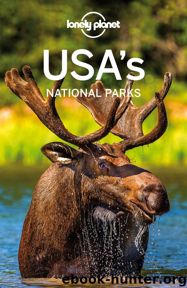 USA's National Parks by Lonely Planet