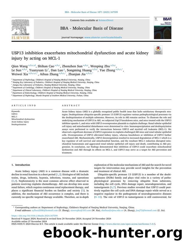USP13 inhibition exacerbates mitochondrial dysfunction and acute kidney injury by acting on MCL-1 by unknow