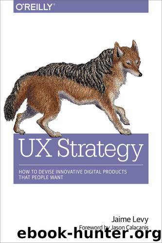 UX Strategy: How to Devise Innovative Digital Products That People Want by Jaime Levy