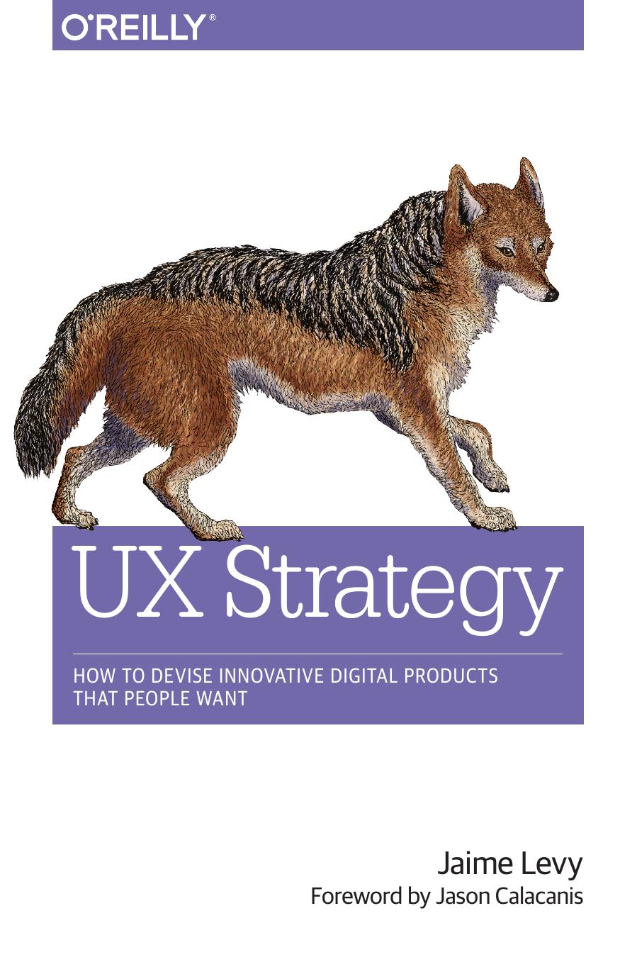 UX Strategy: How to Devise Innovative Digital Products that People Want by Jaime Levy