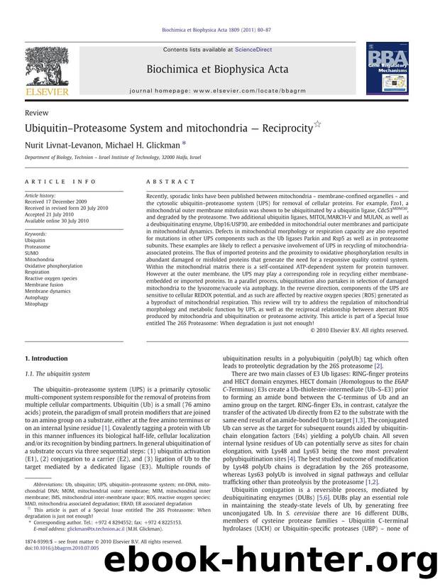 UbiquitinâProteasome System and mitochondria â Reciprocity by Nurit Livnat-Levanon & Michael H. Glickman