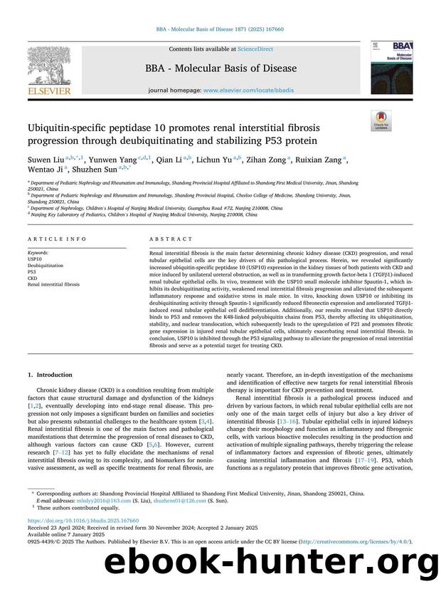 Ubiquitin-specific peptidase 10 promotes renal interstitial fibrosis progression through deubiquitinating and stabilizing P53 protein by Suwen Liu & Yunwen Yang & Qian Li & Lichun Yu & Zihan Zong & Ruixian Zang & Wentao Ji & Shuzhen Sun