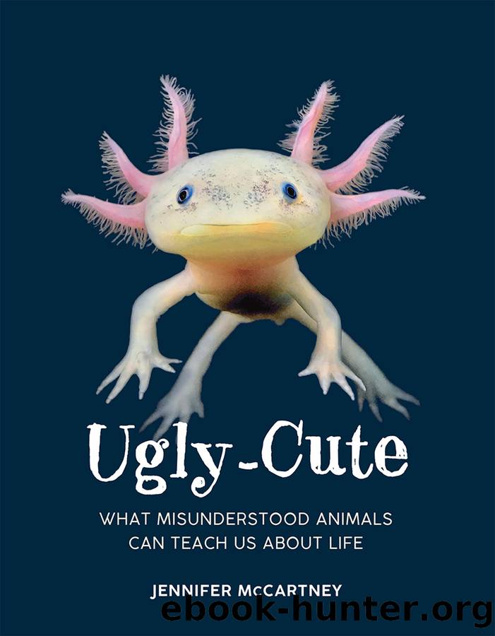 Ugly-Cute by Jennifer McCartney