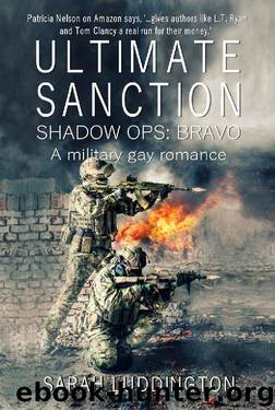Ultimate Sanction by Sarah Luddington