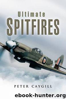 Ultimate Spitfires by Peter Caygill