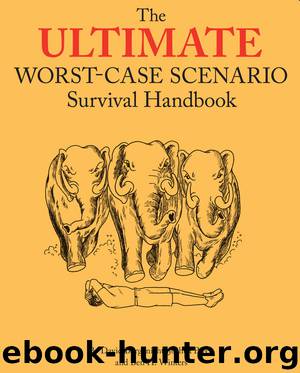 Ultimate Worst-Case Scenario Survival Handbook by David Borgenicht