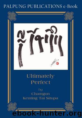 Ultimately Perfect by Chamgon Kenting Tai Situpa