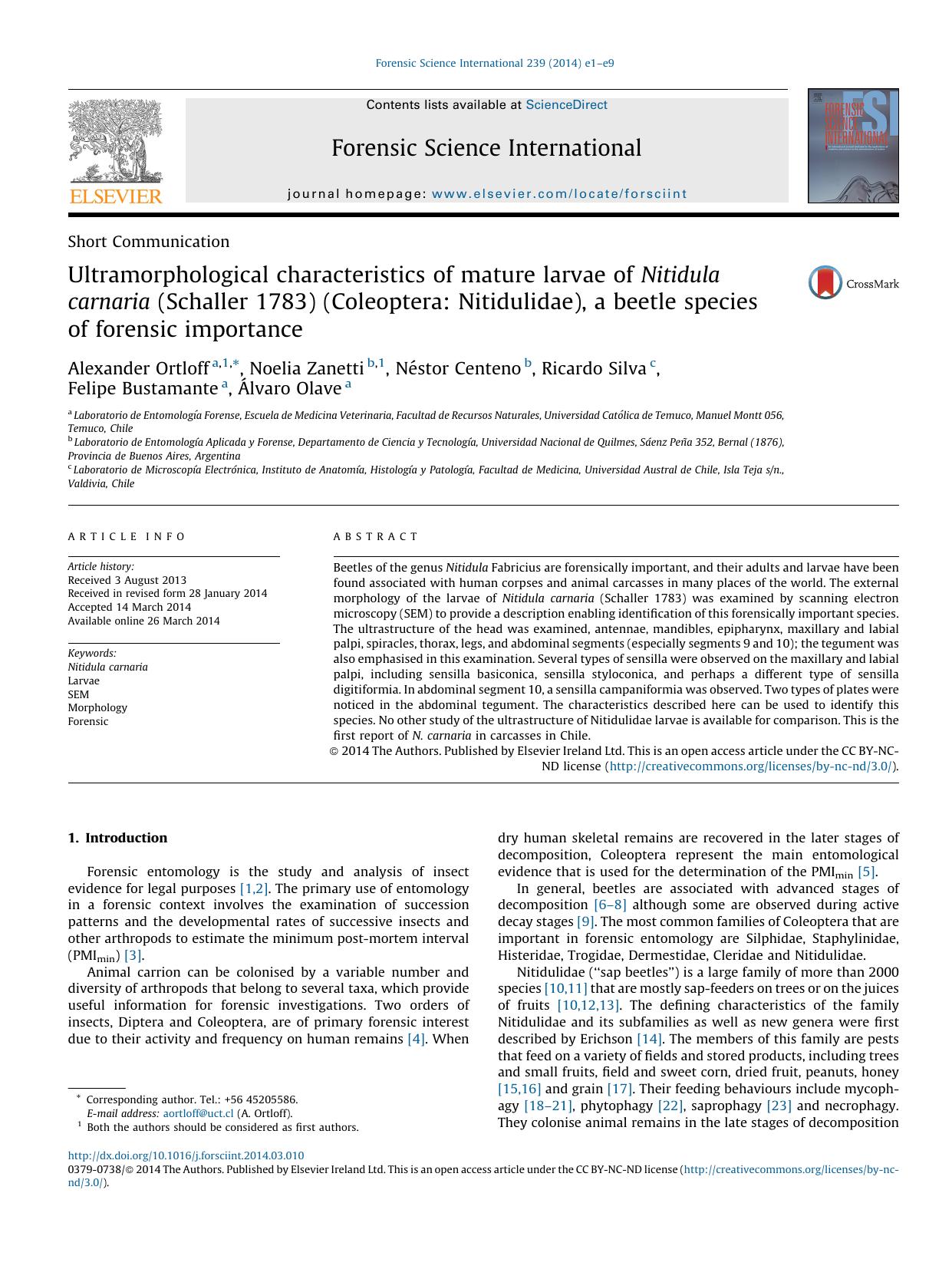 Ultramorphological characteristics of mature larvae of Nitidula carnaria (Schaller 1783) (Coleoptera: Nitidulidae), a beetle species of forensic importance by unknow