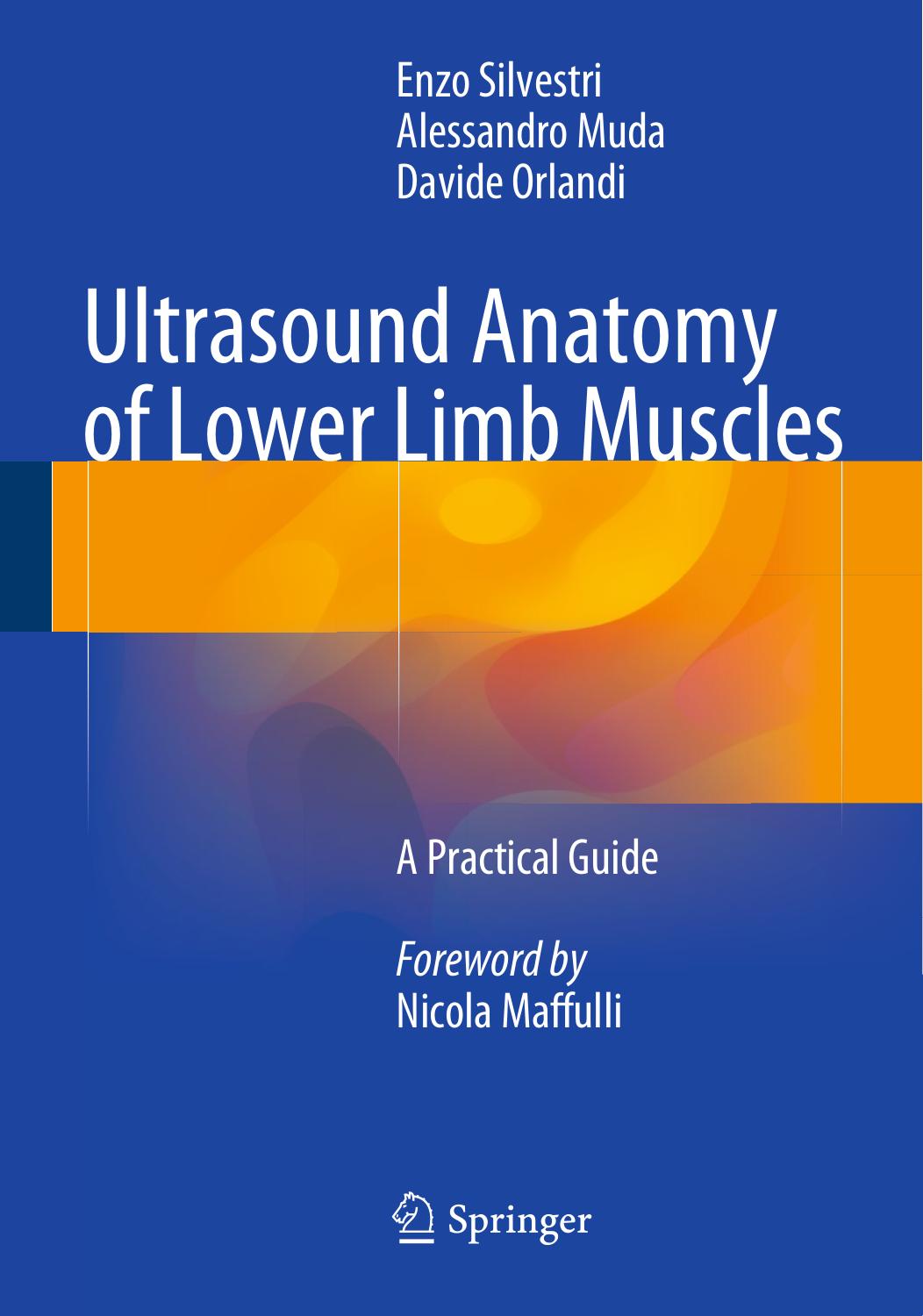 Ultrasound Anatomy of Lower Limb Muscles: A Practical Guide by Unknow