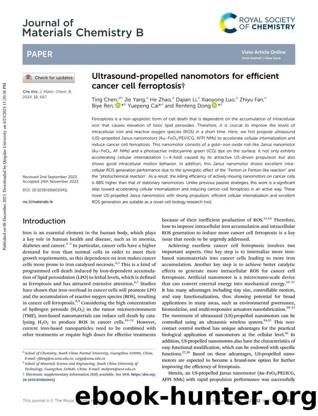 Ultrasound-propelled nanomotors for efficient cancer cell ferroptosis by unknow