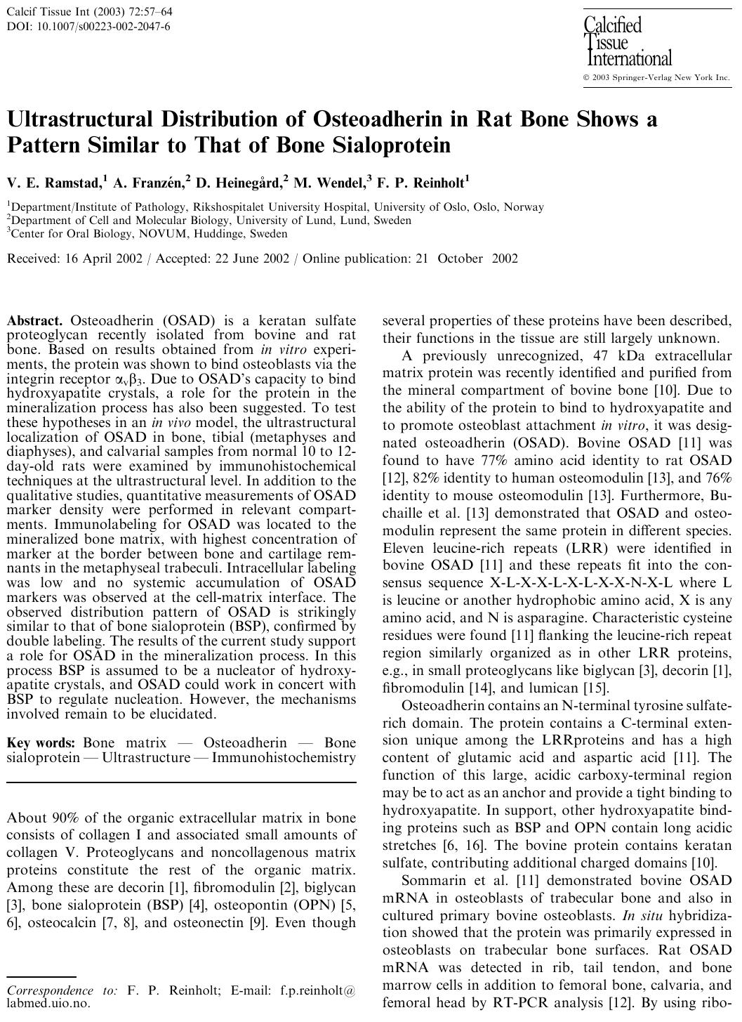 Ultrastructural Distribution of Osteoadherin in Rat Bone Shows a Pattern Similar to That of Bone Sialoprotein by Ramstad VE. et al.