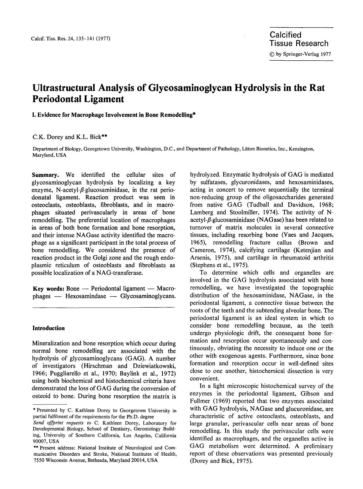Ultrastructural analysis of glycosaminoglycan hydrolysis in the rat periodontal ligament by Unknown