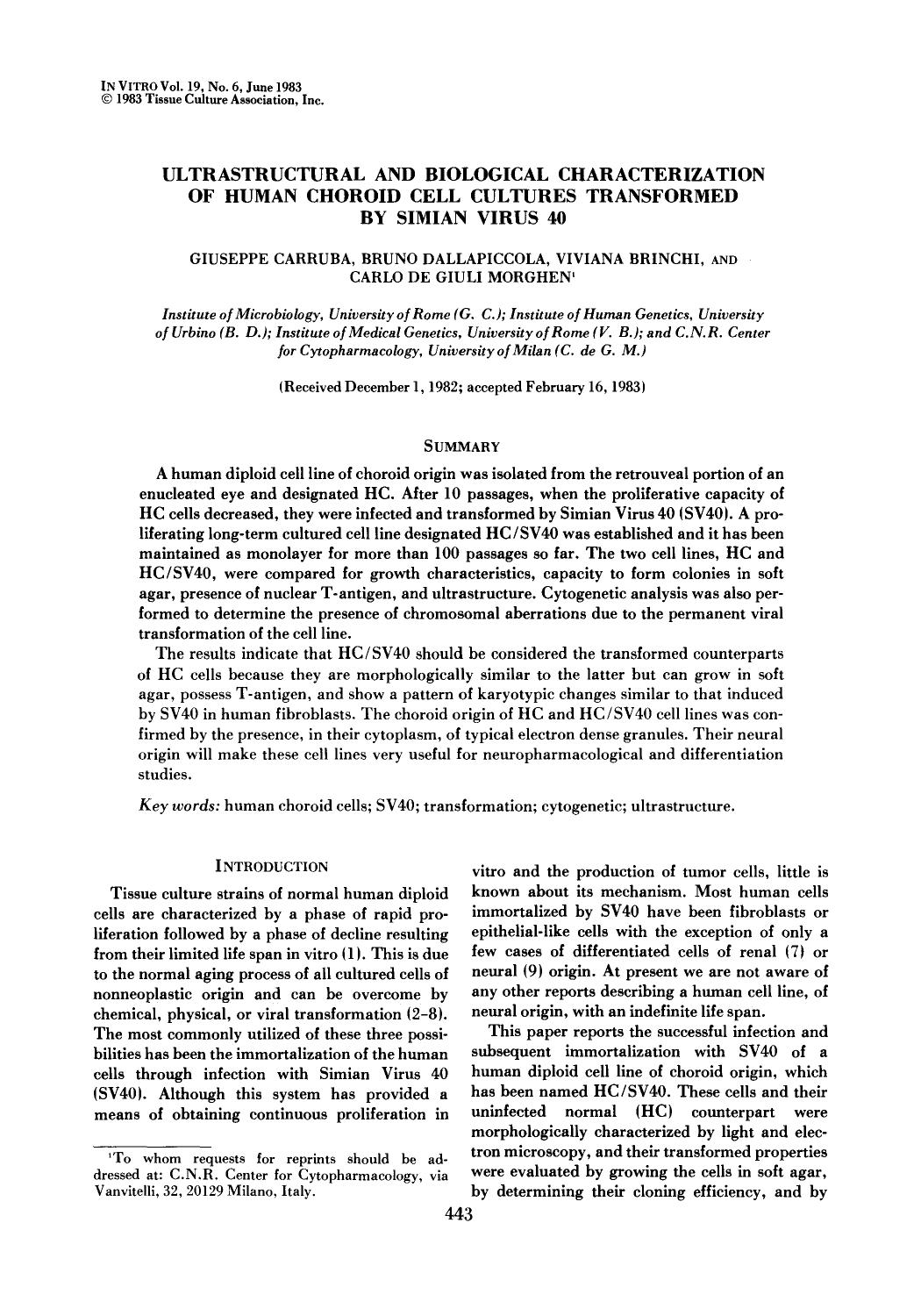 Ultrastructural and biological characterization of human choroid cell cultures transformed by Simian Virus 40 by Unknown