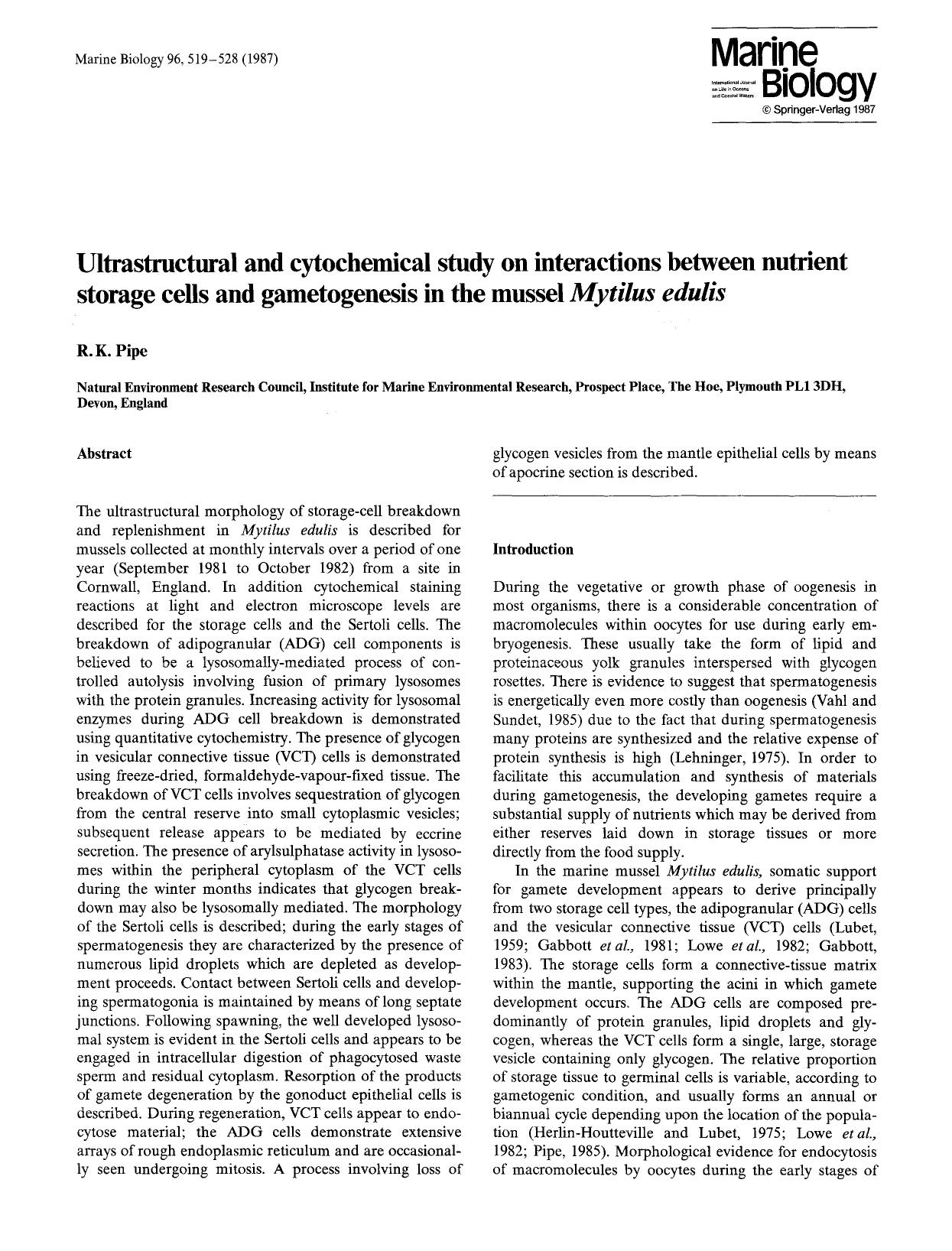 Ultrastructural and cytochemical study on interactions between nutrient storage cells and gametogenesis in the mussel <Emphasis Type="Italic">Mytilus edulis<Emphasis> by Unknown