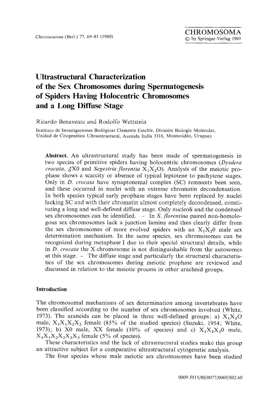 Ultrastructural characterization of the sex chromosomes during spermatogenesis of spiders having holocentric chromosomes and a long diffuse stage by Unknown