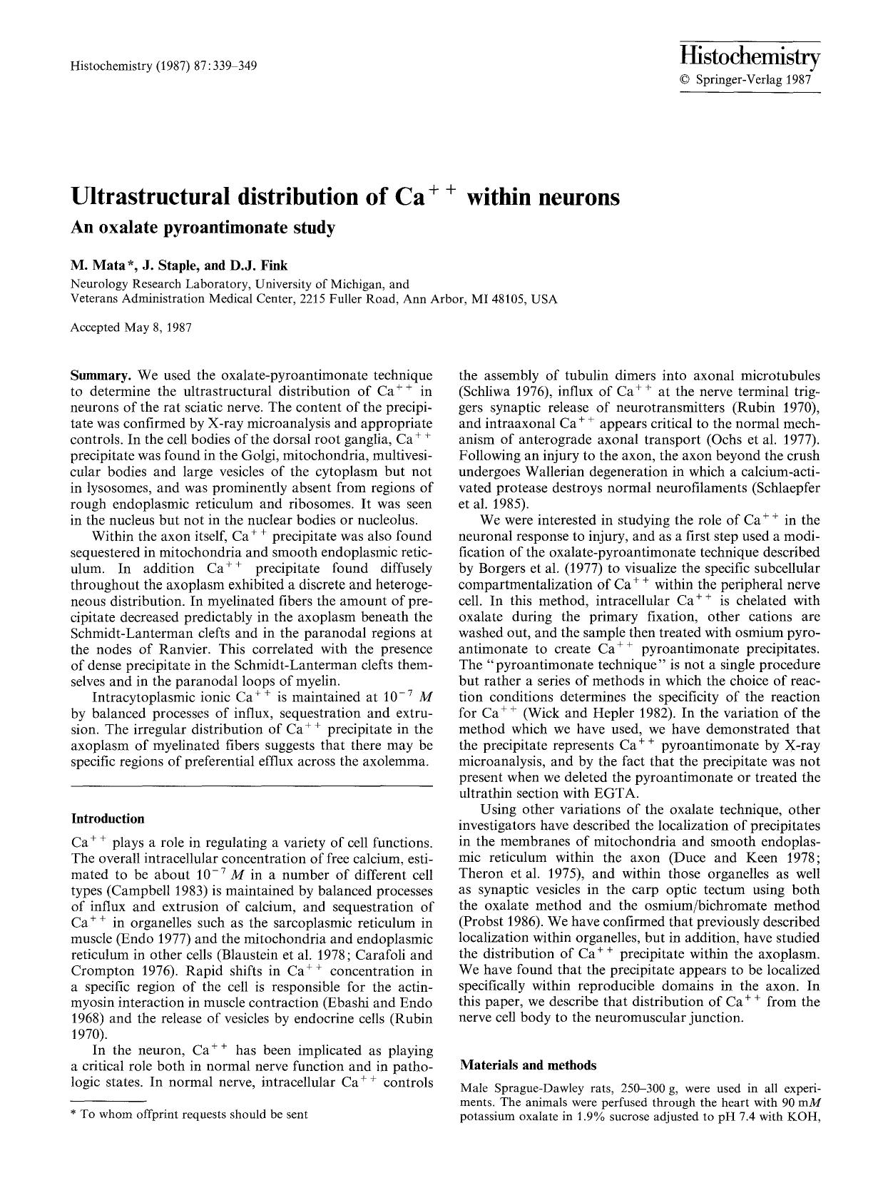 Ultrastructural distribution of Ca<Superscript>&#x002B;&#x002B;<Superscript> within neurons by Unknown