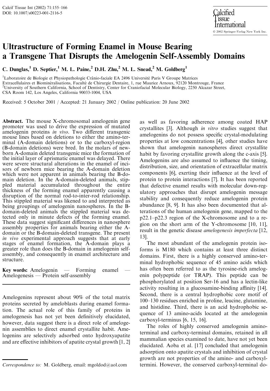 Ultrastructure of Forming Enamel in Mouse Bearing a Transgene That Disrupts the Amelogenin Self-Assembly Domains by Dunglas C. et al