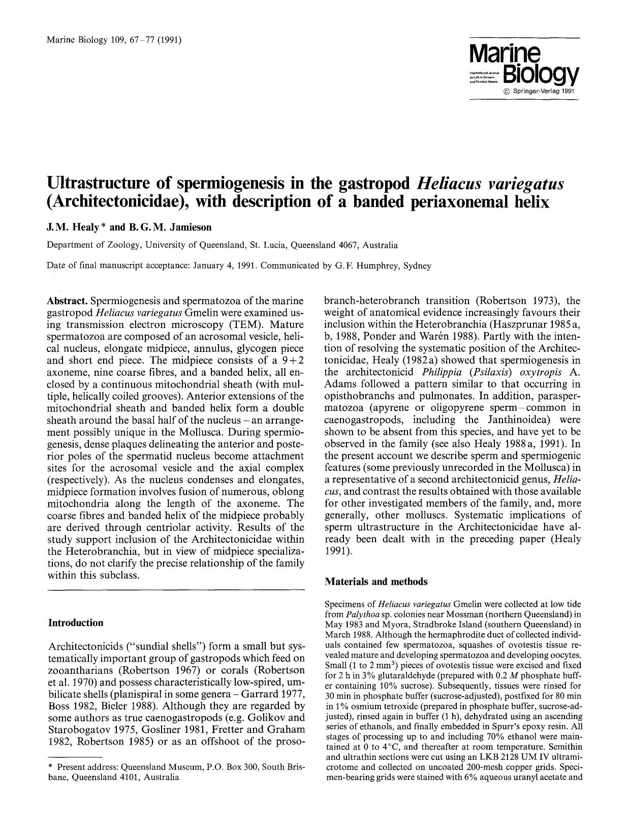 Ultrastructure of spermiogenesis in the gastropod <Emphasis Type="Italic">Heliacus variegatus <Emphasis> (Architectonicidae), with description of a banded periaxonemal helix by Unknown